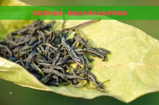 探索茶叶起源：揭秘古代茶文化的孕育时期