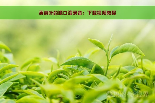 卖茶叶的顺口溜录音：下载视频教程