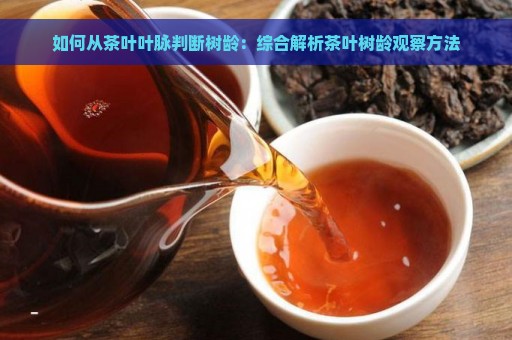 如何从茶叶叶脉判断树龄：综合解析茶叶树龄观察方法