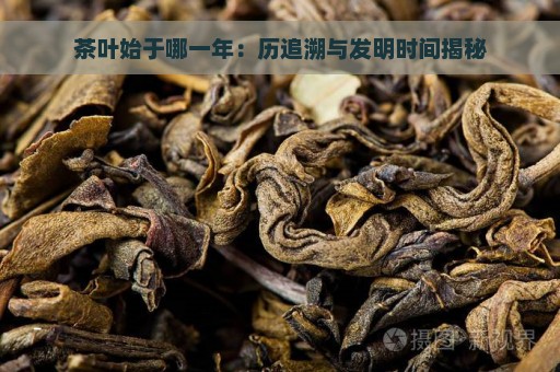 茶叶始于哪一年：历追溯与发明时间揭秘