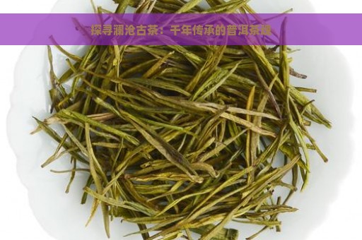 探寻澜沧古茶：千年传承的普洱茶魂