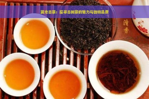 澜沧古茶：探寻古树茶的魅力与独特品质