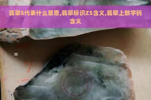 翡翠S代表什么意思,翡翠标识ZS含义,翡翠上数字码含义