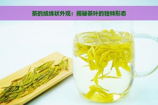 茶的绒线状外观：揭秘茶叶的独特形态