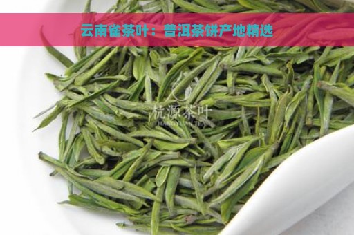 云南雀茶叶：普洱茶饼产地精选