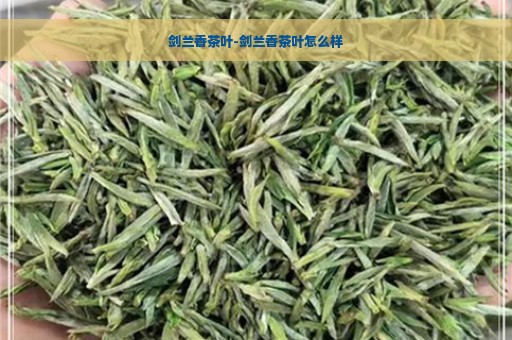 剑兰香茶叶-剑兰香茶叶怎么样