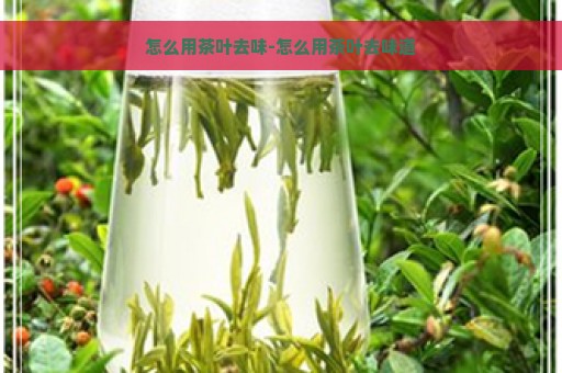 怎么用茶叶去味-怎么用茶叶去味道