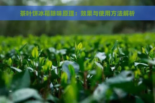 茶叶饼冰箱除味原理：效果与使用方法解析