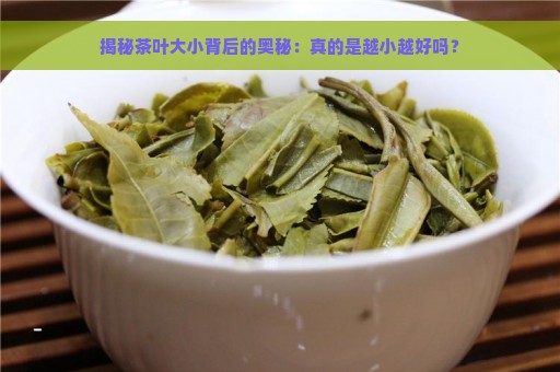 揭秘茶叶大小背后的奥秘：真的是越小越好吗？