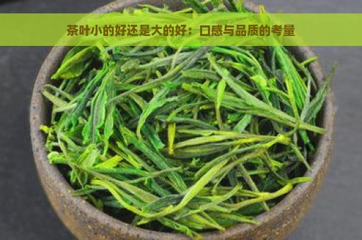 茶叶小的好还是大的好：口感与品质的考量