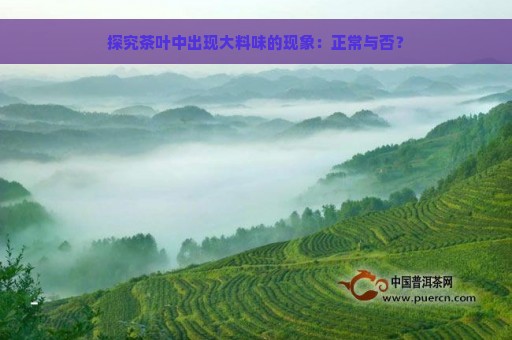 探究茶叶中出现大料味的现象：正常与否？