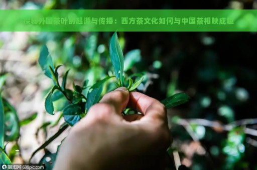 探秘外国茶叶的起源与传播：西方茶文化如何与中国茶相映成趣