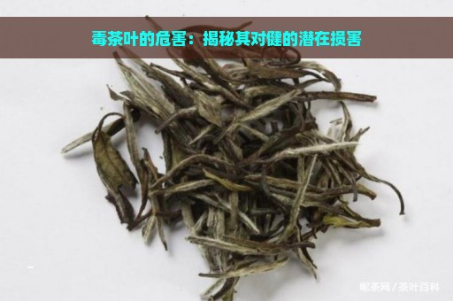 毒茶叶的危害：揭秘其对健的潜在损害