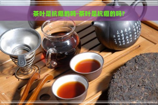 茶叶是抗癌的吗-茶叶是抗癌的吗?