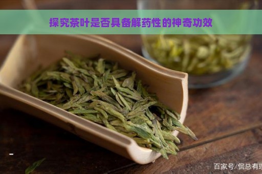 探究茶叶是否具备解药性的神奇功效