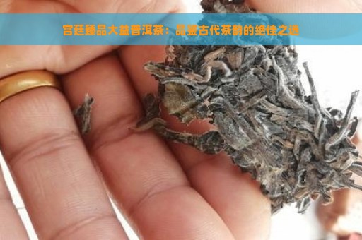 宫廷臻品大益普洱茶：品鉴古代茶韵的绝佳之选