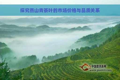 探究燕山青茶叶的市场价格与品质关系