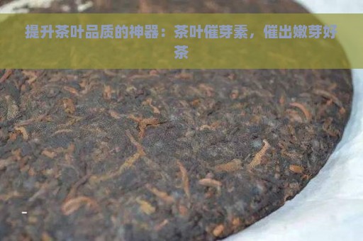 提升茶叶品质的神器：茶叶催芽素，催出嫩芽好茶