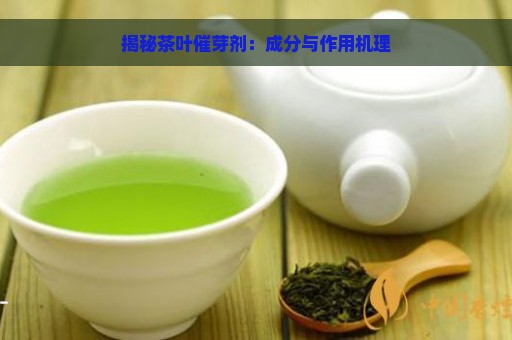 揭秘茶叶催芽剂：成分与作用机理