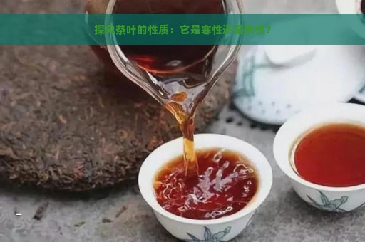 探究茶叶的性质：它是寒性还是热性？