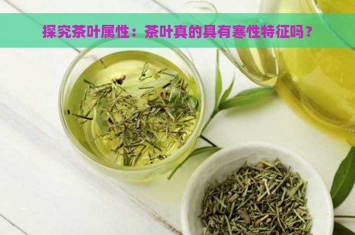 探究茶叶属性：茶叶真的具有寒性特征吗？