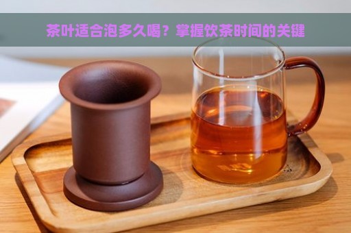 茶叶适合泡多久喝？掌握饮茶时间的关键