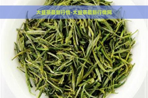 大益茶最新行情-大益茶最新行情网