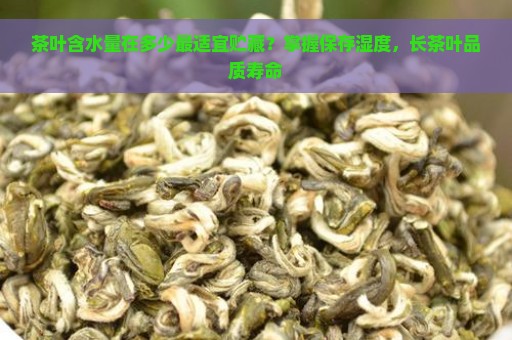 茶叶含水量在多少最适宜贮藏？掌握保存湿度，长茶叶品质寿命