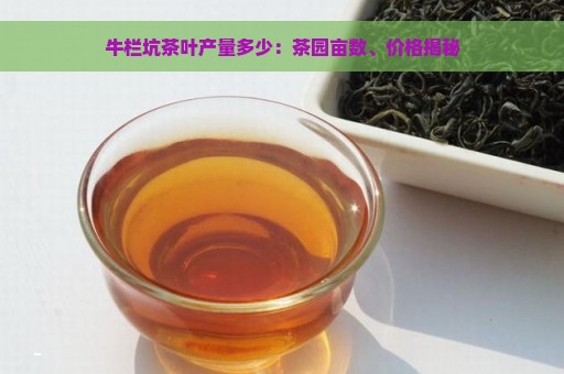 牛栏坑茶叶产量多少：茶园亩数、价格揭秘