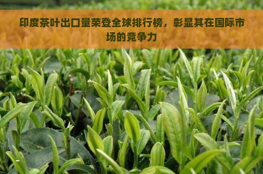 印度茶叶出口量荣登全球排行榜，彰显其在国际市场的竞争力