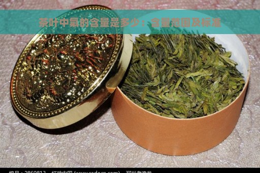 茶叶中氟的含量是多少：含量范围及标准