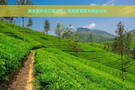 清末茶叶出口量大吗：现对其原因与现状分析