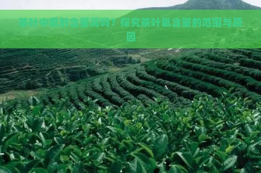 茶叶中氟的含量高吗？探究茶叶氟含量的范围与原因