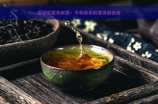 探秘曼囡古树茶：千年传承的普洱茶传奇