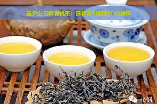 曼夕山古树有机茶：珍稀茶叶的的价格解析