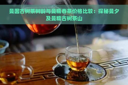 曼囡古树茶树龄与曼糯春茶价格比较：探秘曼夕及曼糯古树茶山