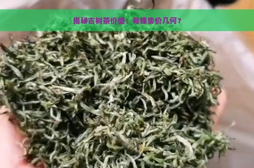 揭秘古树茶价值：每棵售价几何？