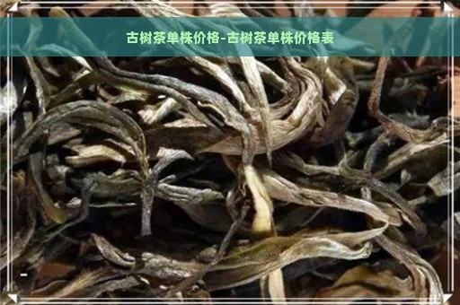 古树茶单株价格-古树茶单株价格表