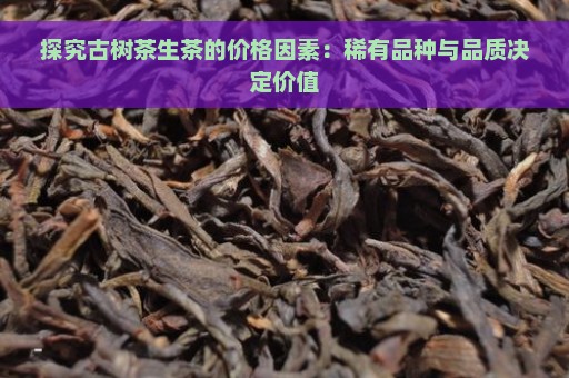 探究古树茶生茶的价格因素：稀有品种与品质决定价值