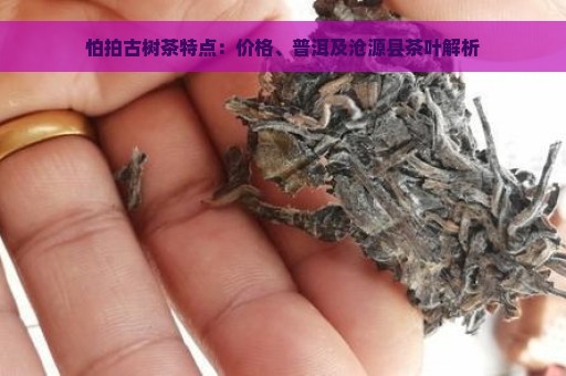 怕拍古树茶特点：价格、普洱及沧源县茶叶解析