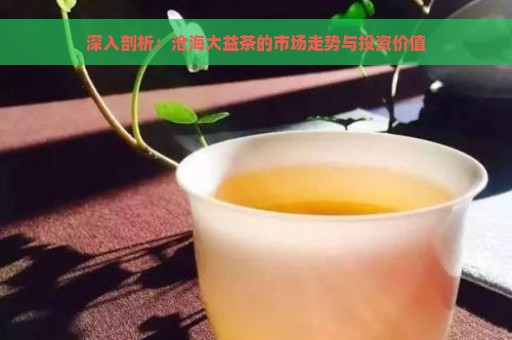 深入剖析：沧海大益茶的市场走势与投资价值