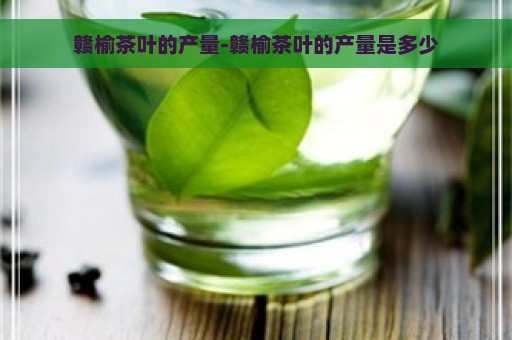 赣榆茶叶的产量-赣榆茶叶的产量是多少