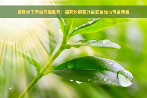 茶叶炒了有毒吗能吃吗：探究炒制茶叶的安全性与可食用性