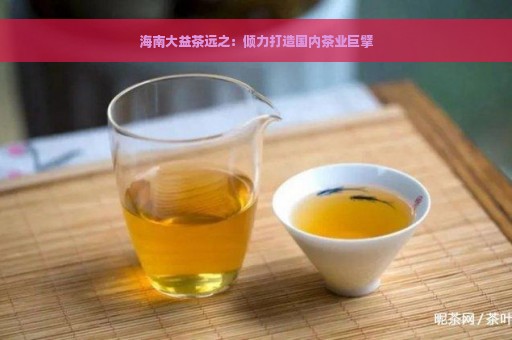 海南大益茶远之：倾力打造国内茶业巨擘