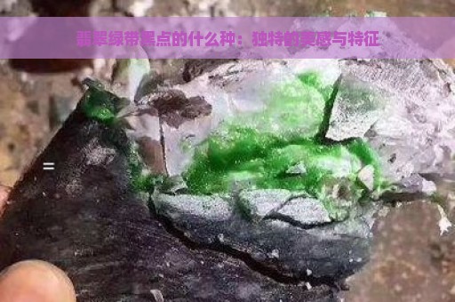 翡翠绿带黑点的什么种：独特的美感与特征