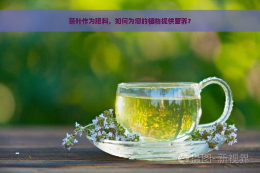 茶叶作为肥料，如何为您的植物提供营养？