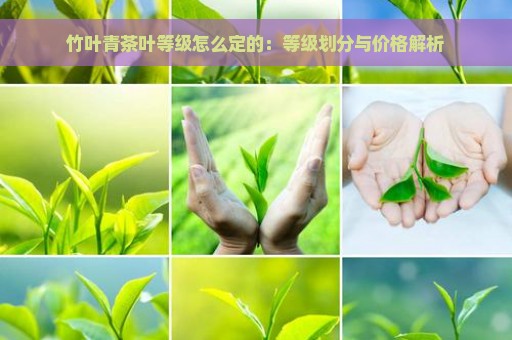 竹叶青茶叶等级怎么定的：等级划分与价格解析