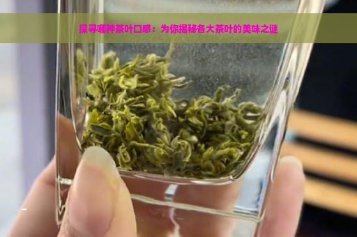 探寻哪种茶叶口感：为你揭秘各大茶叶的美味之谜