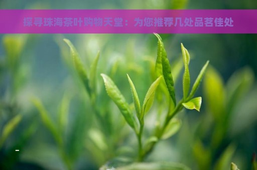 探寻珠海茶叶购物天堂：为您推荐几处品茗佳处