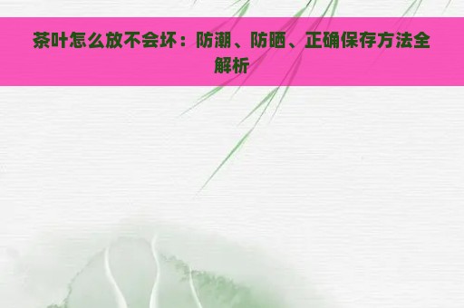 茶叶怎么放不会坏：防潮、防晒、正确保存方法全解析